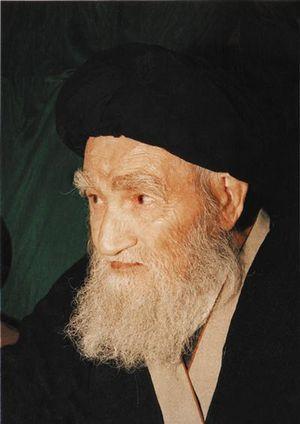 محمد حسینی همدانی